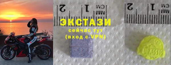 стаф Богданович