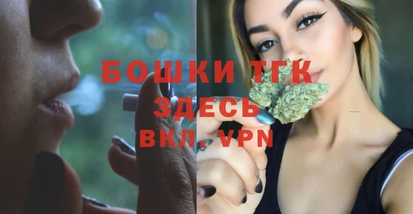 таблы Богородицк