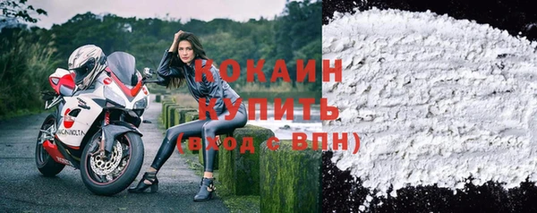 стаф Богданович