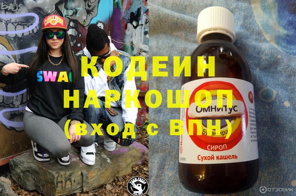 стаф Богданович