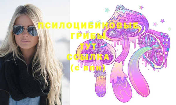 стаф Богданович