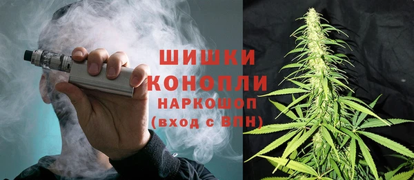 стаф Богданович