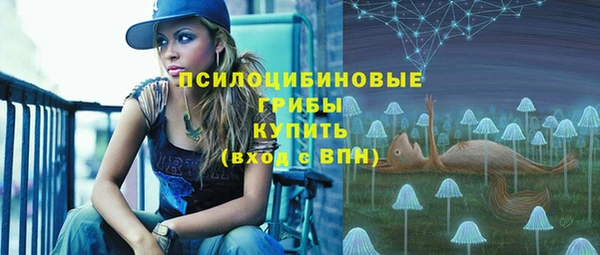 стаф Богданович