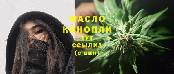 стаф Богданович