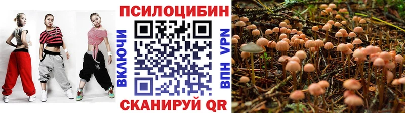darknet какой сайт  Екатеринбург  Галлюциногенные грибы Psilocybe 